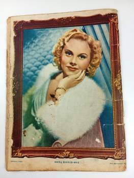 Gill Dawis: Pod cizím jménem - Rodokaps 243 (34) - Romány do kapsy - ročník V.