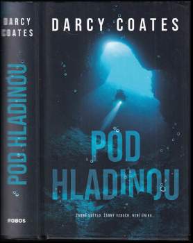 Pod hladinou