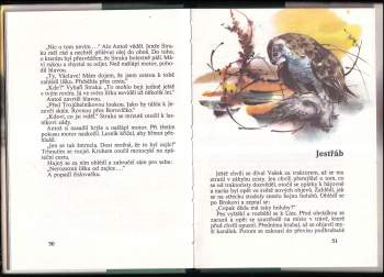 Josef Pohl: Pod jezevčí skálou