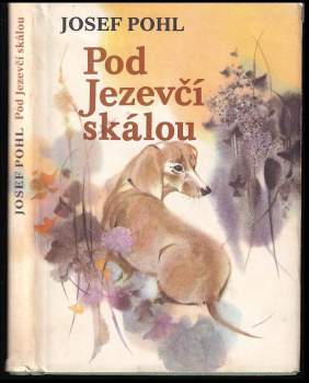 Pod jezevčí skálou