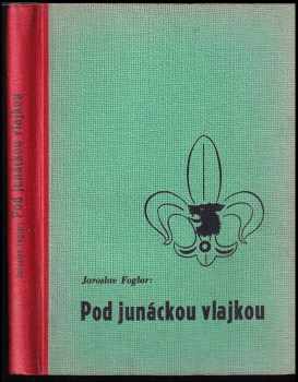Pod junáckou vlajkou