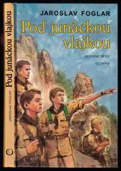 Pod junáckou vlajkou