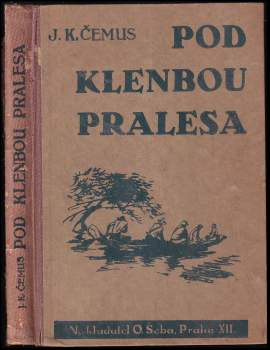 Pod klenbou pralesa