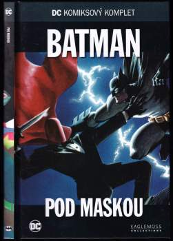 Batman - Pod maskou