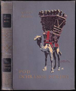 Pod ochranou Núriho