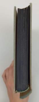 Karolina Světlá: Pod starými krovy