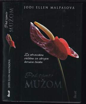 Pod týmto mužom