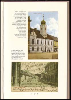 Petr Vácha: Poděbrady