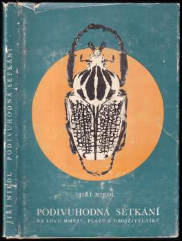 Podivuhodná setkání