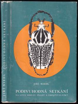 Jiří Niedl: Podivuhodná setkání
