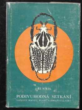 Jiří Niedl: Podivuhodná setkání : na lovu hmyzu, plazů a obojživelníků