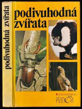 Podivuhodná zvířata - Igor' Ivanovič Akimuškin (1986, Lidové nakladatelství) - ID: 454418