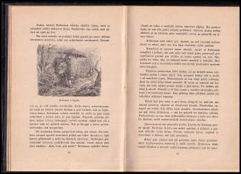 Daniel Defoe: Podivuhodné příhody Robinsonovy na pustém ostrově