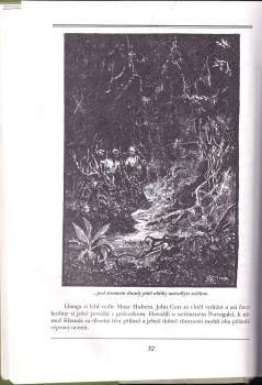 Jules Verne: Podivuhodné setkání v džungli