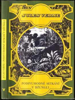Jules Verne: Podivuhodné setkání v džungli