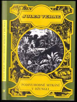 Jules Verne: Podivuhodné setkání v džungli