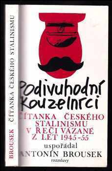 Podivuhodní kouzelníci