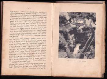 Stanislav Hanzlík: Podnebí a člověk