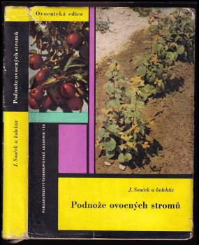 Podnože ovocných stromů