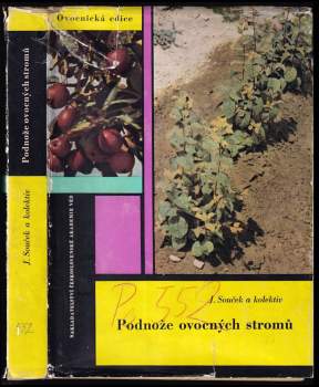 Podnože ovocných stromů
