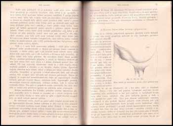 Karel Maydl: Podrobná chirurgie