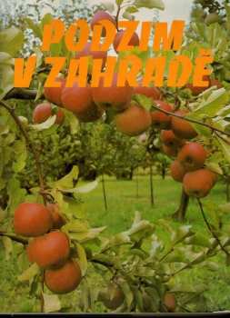 Zima v zahradě