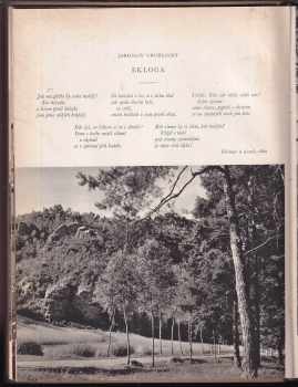 Jan Neruda: Poesie rodné země