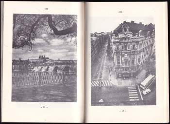 Ludvík Baran: Poetika fotografie