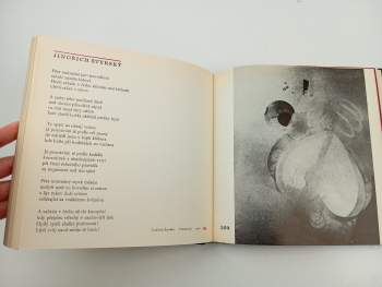 Poetismus