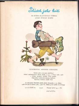 Josef Štefan Kubín: Pohádek jako kvítí