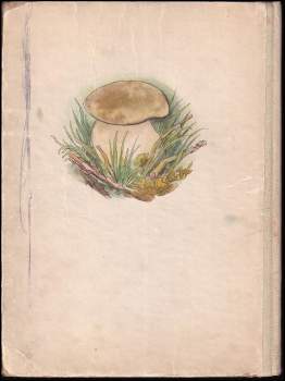 Josef Kožíšek: Pohádka lesa