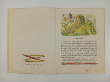 Josef Kožíšek: Pohádka lesa