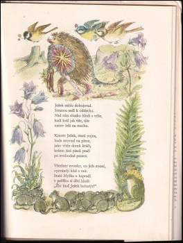 Josef Kožíšek: Pohádka lesa