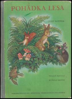 Pohádka lesa