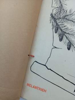 Karel Josef Beneš: Pohádka o zakleté písni