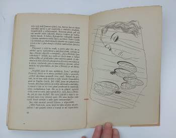 Karel Josef Beneš: Pohádka o zakleté písni