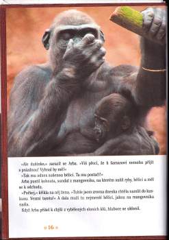 Richard Heyduk: Pohádkové příběhy gorilí rodinky