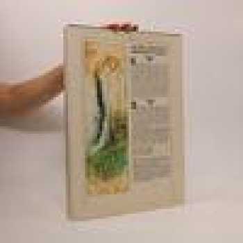 Pohádky bratří Grimmů