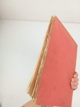 Božena Němcová: Pohádky Boženy Němcové