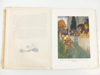 Božena Němcová: Pohádky Boženy Němcové