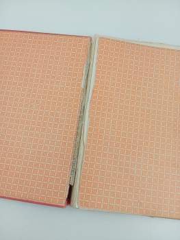 Božena Němcová: Pohádky Boženy Němcové