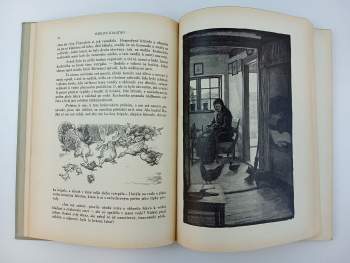 Hans Christian Andersen: Pohádky