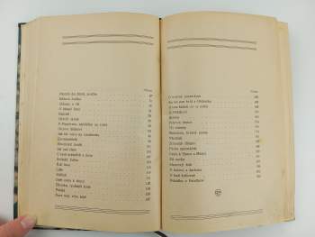 Vojta Beneš: Rok na vsi