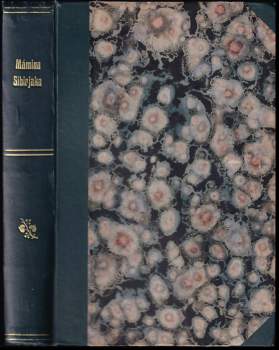 Vojta Beneš: Rok na vsi