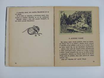 Rudolf František Vojíř: Pohádky našeho domova