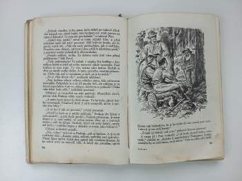 Joža Toucová: Pohádky o Krakonošovi