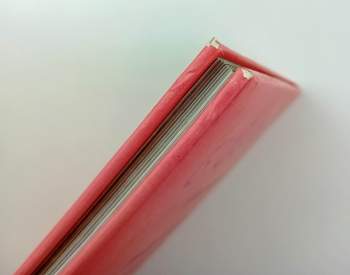 Carmen Guerra: Pohádky o princeznách