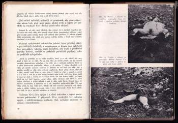 Edward Knobloch: Pohlaví a zločin