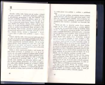 André Philippus Brink: Pohled do tmy