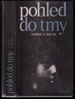 André Philippus Brink: Pohled do tmy